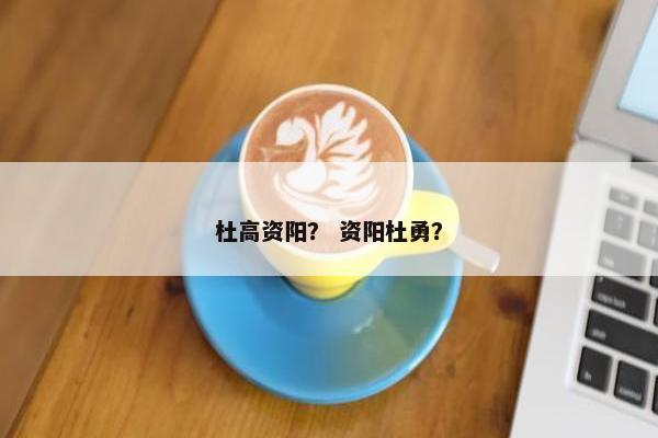 杜高资阳？ 资阳杜勇？