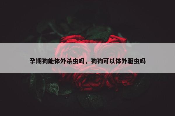 孕期狗能体外杀虫吗，狗狗可以体外驱虫吗