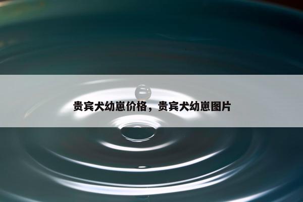 贵宾犬幼崽价格，贵宾犬幼崽图片