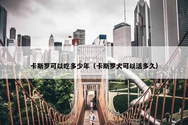 卡斯罗 第29页