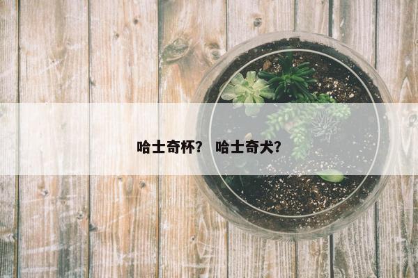 哈士奇杯？ 哈士奇犬？