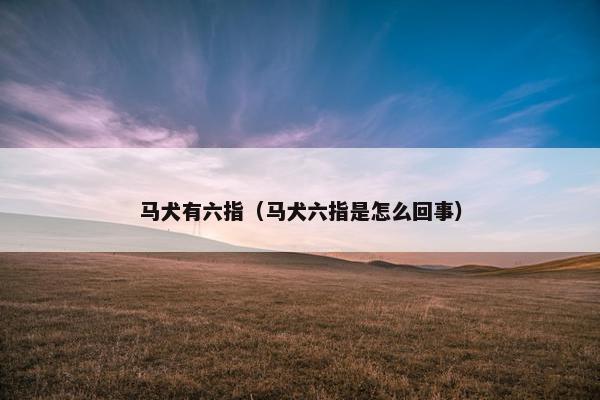 马犬有六指（马犬六指是怎么回事）