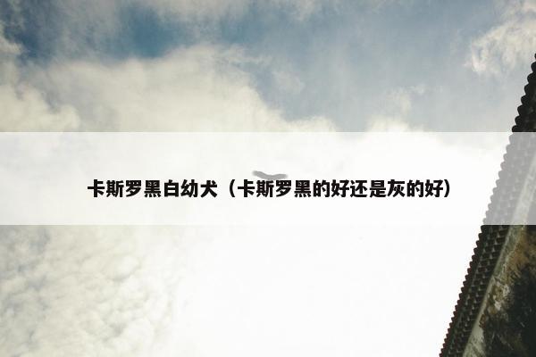 卡斯罗黑白幼犬（卡斯罗黑的好还是灰的好）