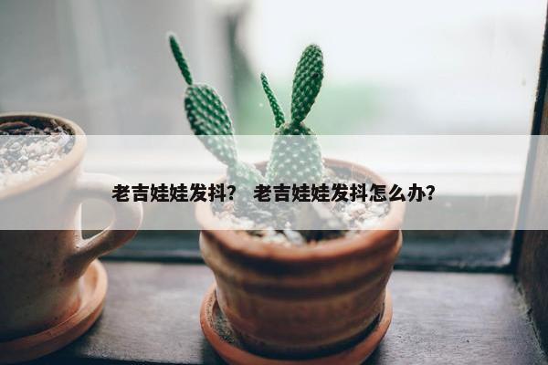 老吉娃娃发抖？ 老吉娃娃发抖怎么办？