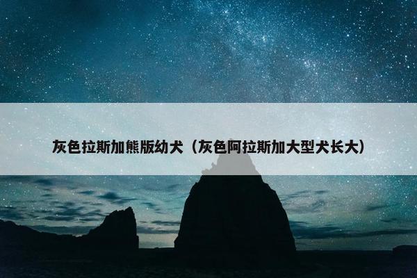 熊版
