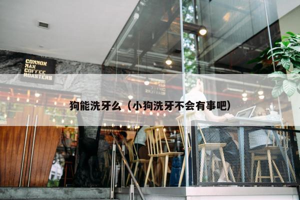 狗能洗牙么（小狗洗牙不会有事吧）