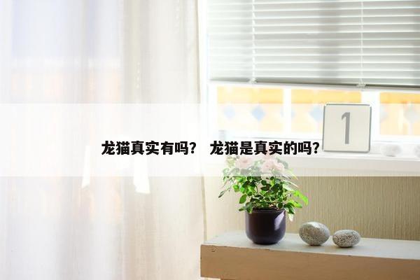 龙猫 第11页