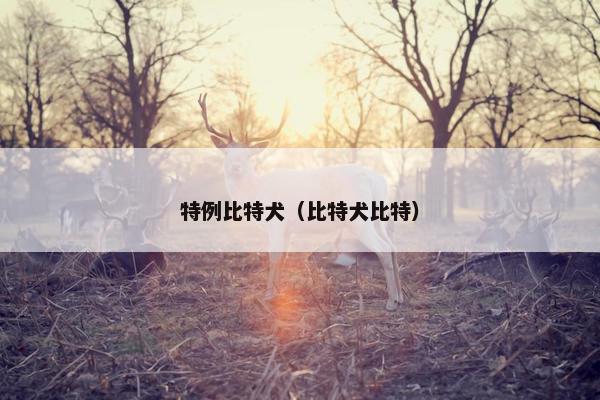 特例比特犬（比特犬比特）