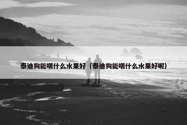 泰迪狗能喂什么水果好（泰迪狗能喂什么水果好呢）