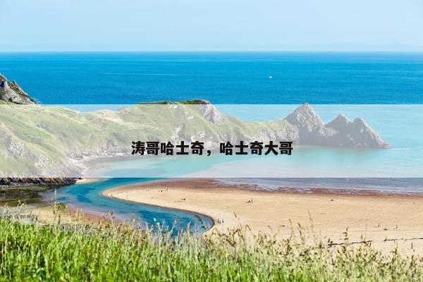 不是