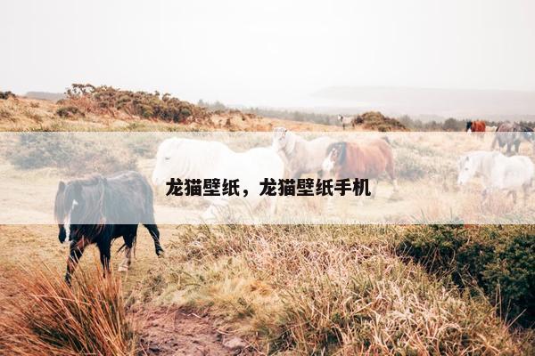 龙猫壁纸，龙猫壁纸手机