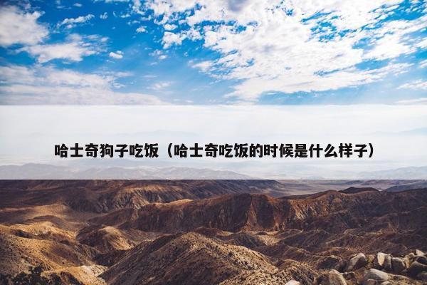 哈士奇狗子吃饭（哈士奇吃饭的时候是什么样子）