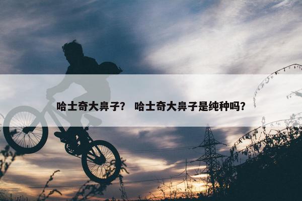 哈士奇大鼻子？ 哈士奇大鼻子是纯种吗？