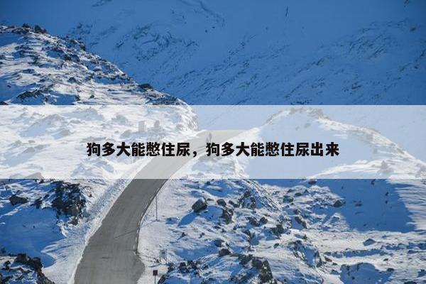 狗多大能憋住尿，狗多大能憋住尿出来