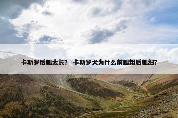 卡斯罗后腿太长？ 卡斯罗犬为什么前腿粗后腿细？