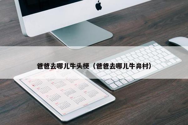 爸爸去哪儿牛头梗（爸爸去哪儿牛鼻村）