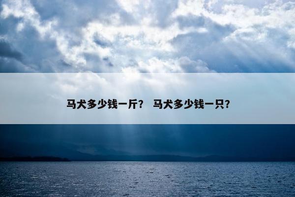 马犬多少钱一斤？ 马犬多少钱一只？