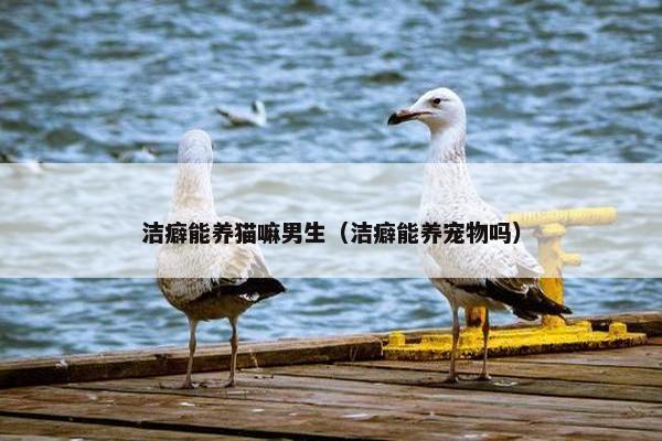 洁癖