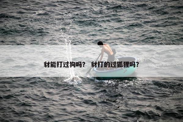 豺能打过狗吗？ 豺打的过狐狸吗？