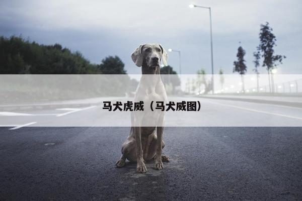 马犬虎威（马犬威图）