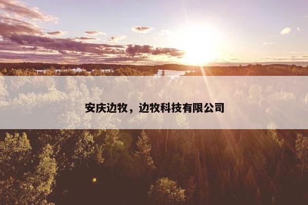 安庆边牧，边牧科技有限公司