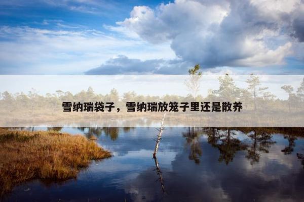 充满