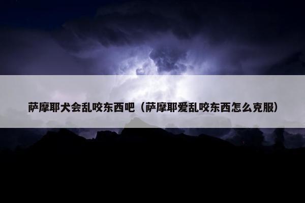 萨摩耶犬会乱咬东西吧（萨摩耶爱乱咬东西怎么克服）