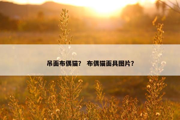 吊面布偶猫？ 布偶猫面具图片？