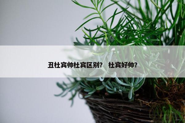 丑杜宾帅杜宾区别？ 杜宾好帅？