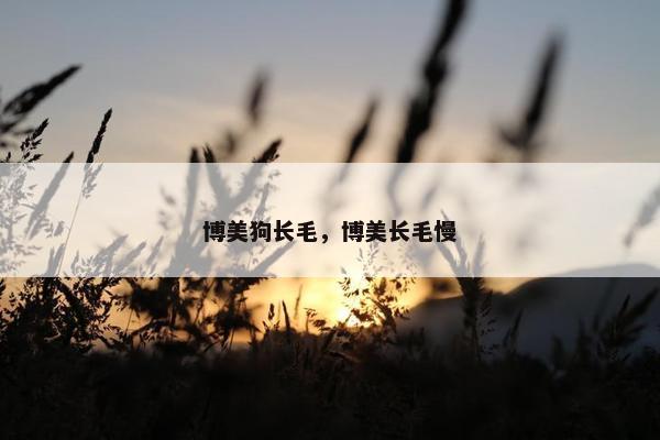 博美狗长毛，博美长毛慢