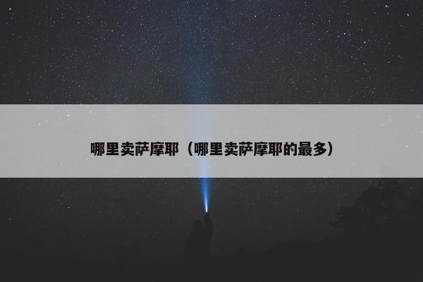 哪里卖萨摩耶（哪里卖萨摩耶的最多）