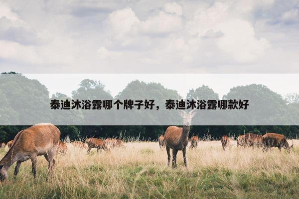 泰迪 第17页