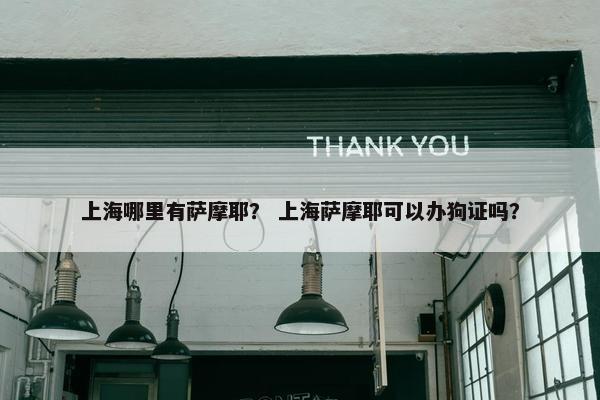 上海哪里有萨摩耶？ 上海萨摩耶可以办狗证吗？