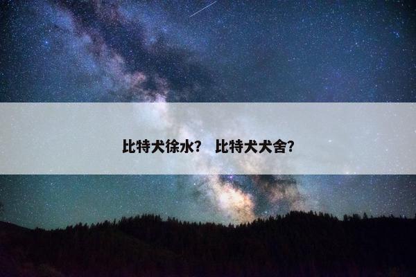 比特犬徐水？ 比特犬犬舍？