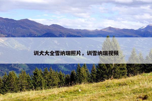 训犬大全雪纳瑞照片，训雪纳瑞视频