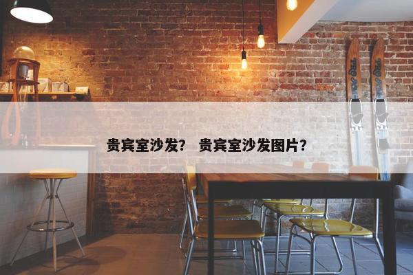 贵宾室沙发？ 贵宾室沙发图片？