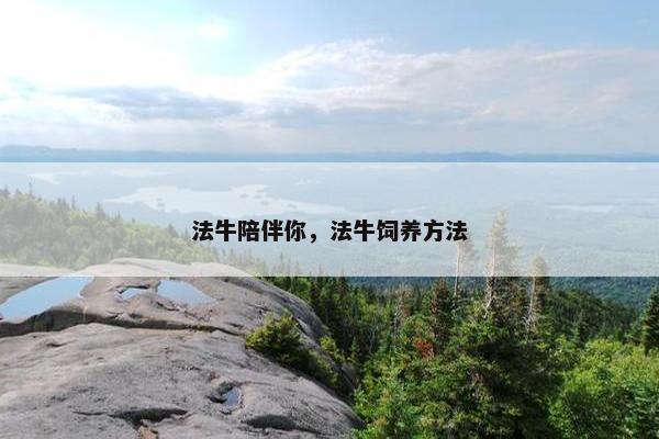 法牛陪伴你，法牛饲养方法