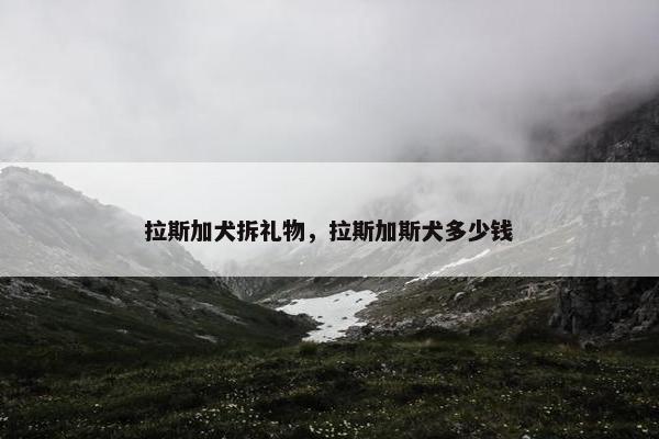 拉斯加犬拆礼物，拉斯加斯犬多少钱