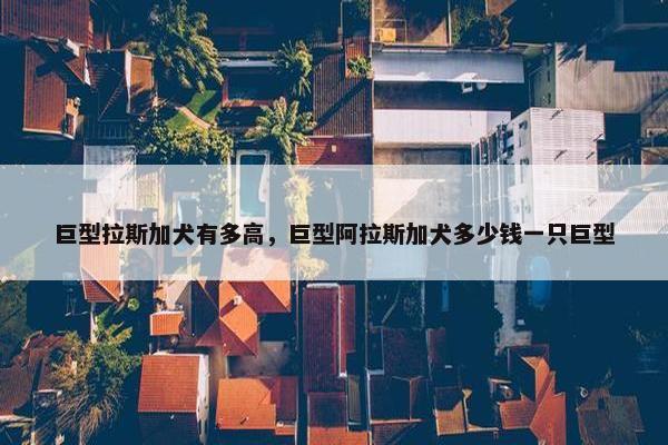 2025年5月 第85页