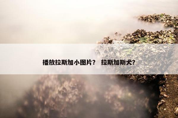 格伦