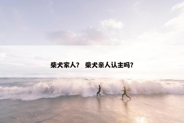 柴犬家人？ 柴犬亲人认主吗？