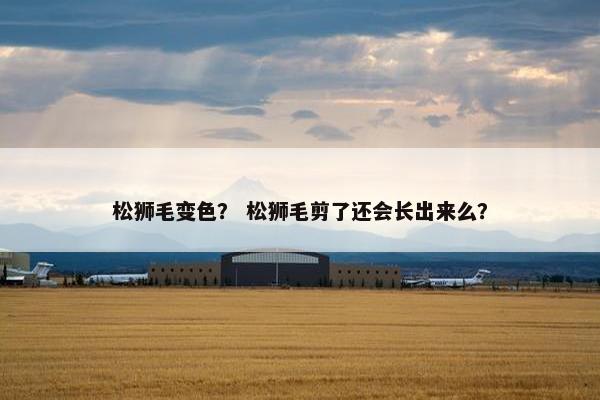 松狮毛变色？ 松狮毛剪了还会长出来么？
