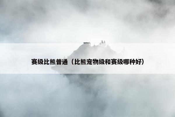 赛级比熊普通（比熊宠物级和赛级哪种好）