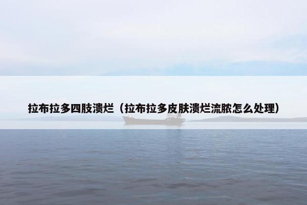 拉布拉多四肢溃烂（拉布拉多皮肤溃烂流脓怎么处理）
