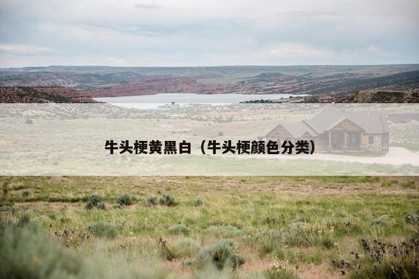 牛头梗黄黑白（牛头梗颜色分类）