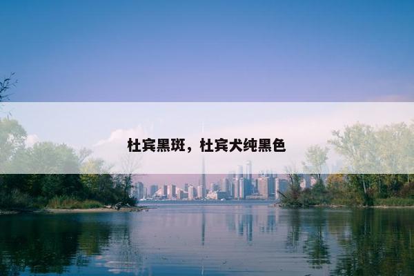 杜宾黑斑，杜宾犬纯黑色