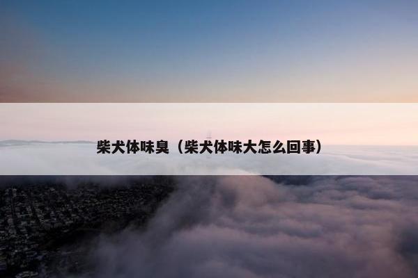 柴犬体味臭（柴犬体味大怎么回事）