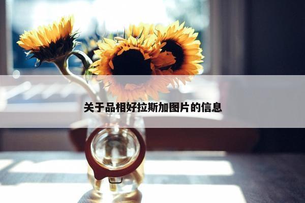 关于品相好拉斯加图片的信息