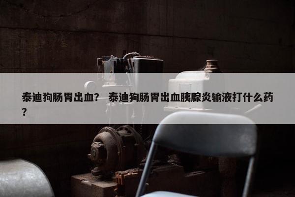 泰迪狗肠胃出血？ 泰迪狗肠胃出血胰腺炎输液打什么药？