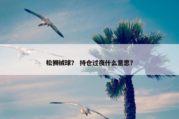 松狮绒球？ 持仓过夜什么意思？